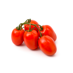 Roma Tomaten 