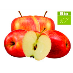 Bio-Gala Äpfel lose 