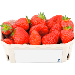 Erdbeeren in der Schale 