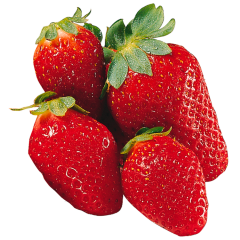 Erdbeeren ca. 500g Schale 