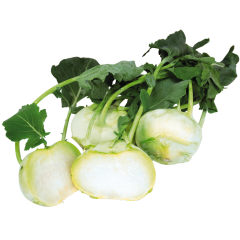 Kohlrabi weiß, Bio 