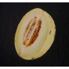 Melone Snowball 