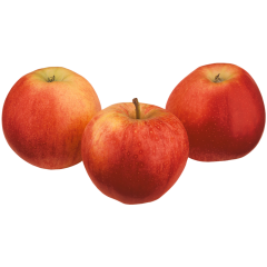 Bio Äpfel Gala 