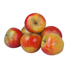 Holsteiner Cox Tafeläpfel 