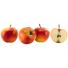 Bio Äpfel Elstar 