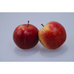 Äpfel, Boskoop, Bio 