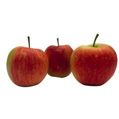 Äpfel Delbarestivale 