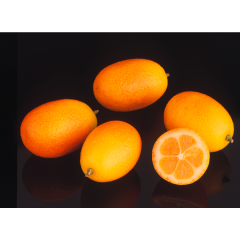 Bio Kumquats 