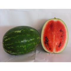 Wassermelonen 