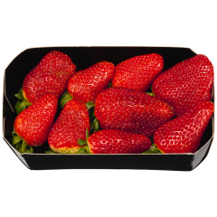 Bio Erdbeeren  
