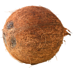 Bio Kokosnüsse 