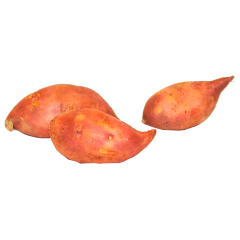 Bio Süßkartoffeln 