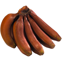 Bananen rot 