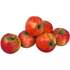 Äpfel Elstar 