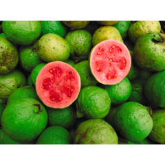 Guaven 