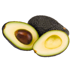 Bio Avocado groß angereift 