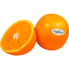 San Lucar SL Orangen behandelt ES I Klasse 	I 
