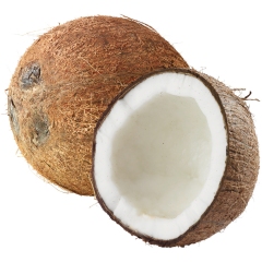 Kokosnüsse 
