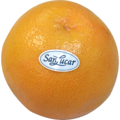 San Lucar Grapefruit, rot Klasse 	I 