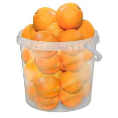 Orangen im Eimer 