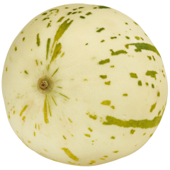 Melonen Branco Klasse 	I 