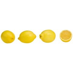 San Lucar San Lucar Zitronen im Netz Klasse 	I 500g 