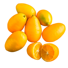 Limequats Gelb, aus Italien 250g 