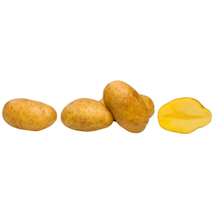 Bio-Kartoffeln festkochend Lose 