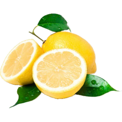 Bio Zitronen 