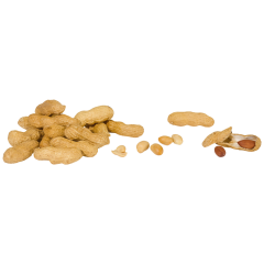 Erdnüsse, in der Schale, Jumbo 400g 