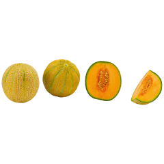 Cantaloupe Melone Klasse 	I 