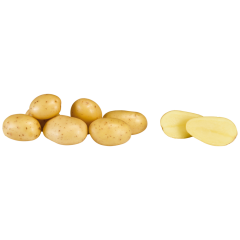 Frühkartoffeln festkochend 