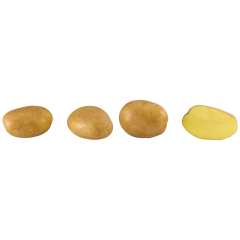 Frühkartoffeln festkochend, zu Spargel 1,5kg 