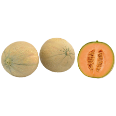 Melonen Charentais, gelb Klasse 	I 
