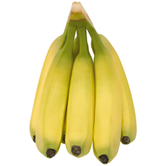 demeter Bananen, Idene, Bio 