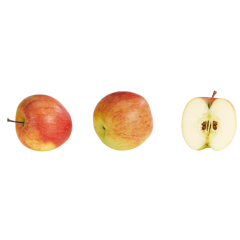 Äpfel, Fuji Klasse 	I 2kg 