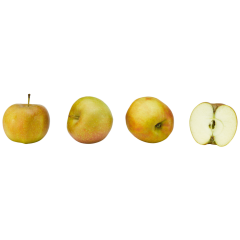 Äpfel, Boskoop Klasse 	I 