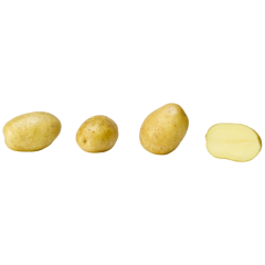 SW Unsere Heimat Bioland Kartoffeln, mehligkochend, Bio 1,5kg 