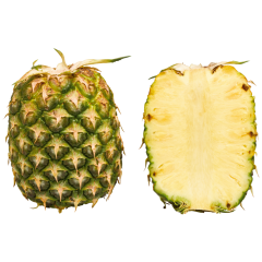 San Lucar Ananas, ohne Krone Klasse 	I 