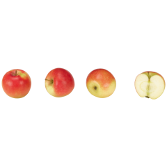 Äpfel, Kanzi, Bio Klasse 	II 600g 