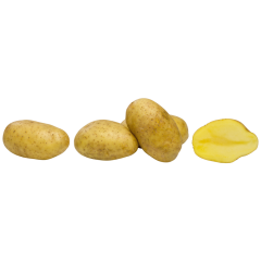 Kartoffeln, vorwiegend festkochend, Belana 5kg 