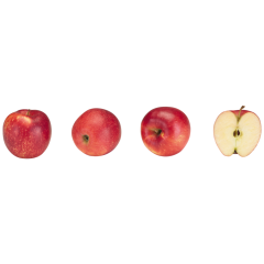 Äpfel, Cosmic Crisp Klasse 	I 750g 