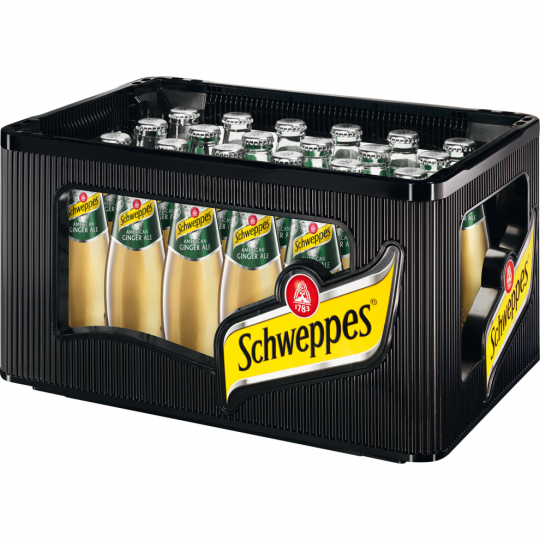 Schweppes Ginger Ale - Kiste 24 x 0,2 l 