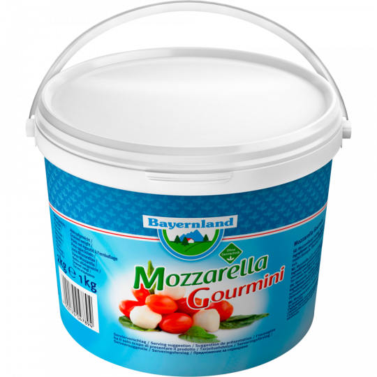 Bayernland Mozzarella Gourmini 45 % Fett i.Tr. 1 kg 