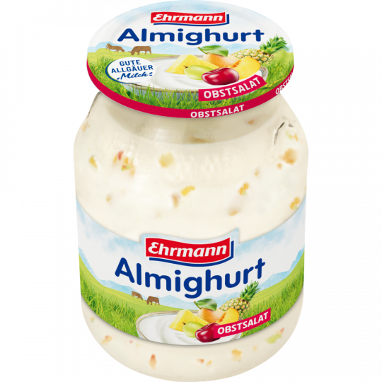 Ehrmann Almighurt Obstsalat 3,8 % Fett 500 g 