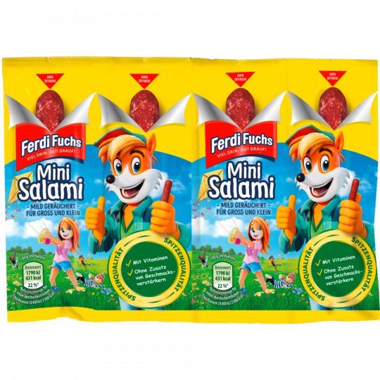 Ferdi Fuchs Mini Salami 4 x 12,5 g 
