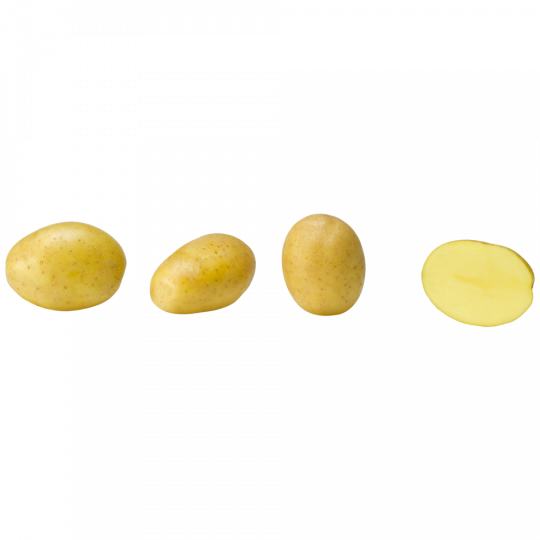 EDEKA Kartoffeln mehligkochend, Ackergold 