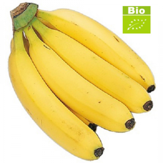 Bio-Bananen 