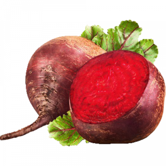 Rote Beete 