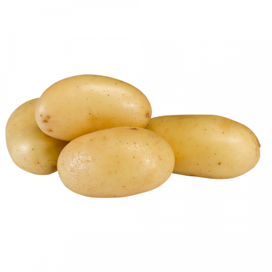 Drillinge Kartoffeln festkochend 